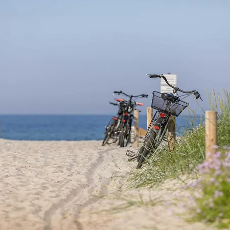 Seestern Am Ostseestrand Wustrow (Fischland)