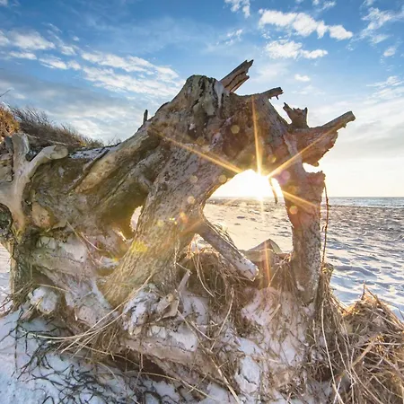 5-sterne-ferienwohnung Seestern - Urlaub Zwischen Ostsee Und Saaler Bodden * Вустров